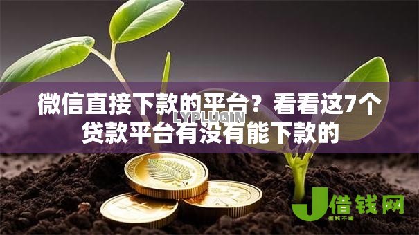 微信直接下款的平台？看看这7个贷款平台有没有能下款的