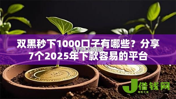 双黑秒下1000口子有哪些？分享7个2025年下款容易的平台