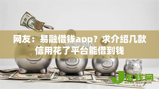 网友：易融借钱app？求介绍几款信用花了平台能借到钱