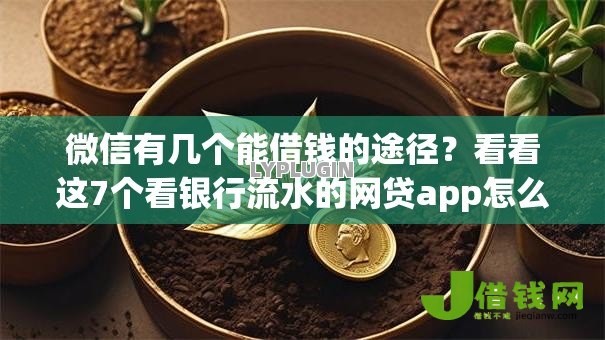 微信有几个能借钱的途径？看看这7个看银行流水的网贷app怎么样