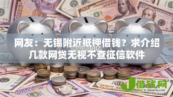 网友：无锡附近抵押借钱？求介绍几款网贷无视不查征信软件