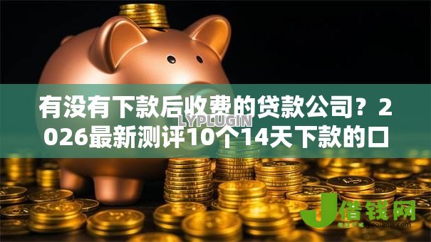 有没有下款后收费的贷款公司？2026最新测评10个14天下款的口子