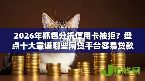 2026年抓包分析信用卡被拒？盘点十大靠谱哪些网贷平台容易贷款