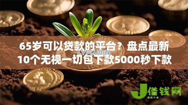65岁可以贷款的平台？盘点最新10个无视一切包下款5000秒下款的app