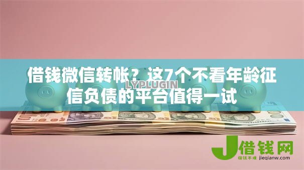 借钱微信转帐？这7个不看年龄征信负债的平台值得一试