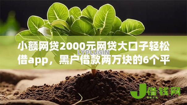 小额网贷2000元网贷大口子轻松借app，黑户借款两万块的6个平台介绍