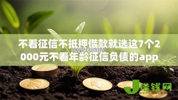 不看征信不抵押借款就选这7个2000元不看年龄征信负债的app