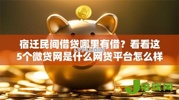 宿迁民间借贷哪里有借?看看这5个微贷网是什么网贷平台怎么样 宿迁民间借贷哪里有借?看看这5个微贷网是什么网贷平台怎么样