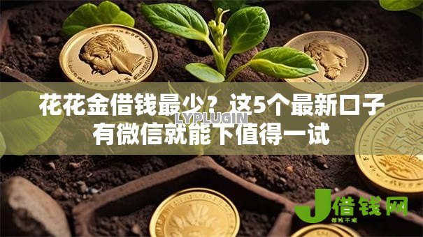 花花金借钱最少?这5个最新口子有微信就能下值得一试 花花金借钱最少?这5个最新口子有微信就能下值得一试