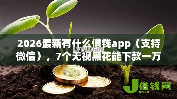 2026最新有什么借钱app（支持微信），7个无视黑花能下款一万元口子无私分享