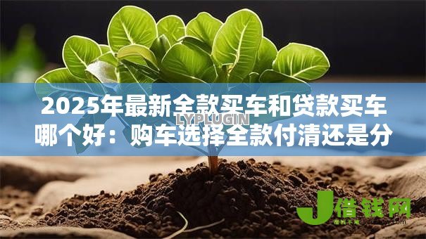 2025年最新全款买车和贷款买车哪个好：购车选择全款付清还是分期付款更划算