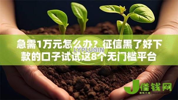 急需1万元怎么办?征信黑了好下款的口子试试这8个无门槛平台 急需1万元怎么办?征信黑了好下款的口子试试这8个无门槛平台
