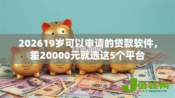 202619岁可以申请的贷款软件，差20000元就选这5个平台