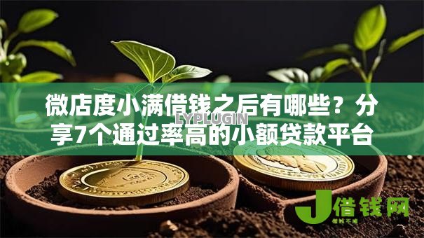 微店度小满借钱之后有哪些？分享7个通过率高的小额贷款平台