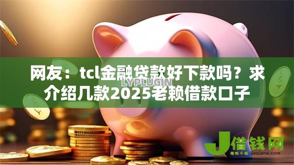 网友：tcl金融贷款好下款吗？求介绍几款2025老赖借款口子
