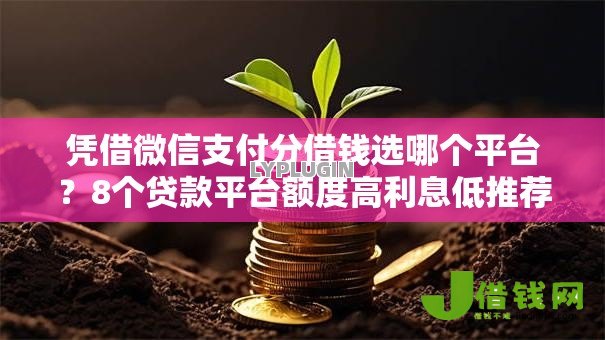 凭借微信支付分借钱选哪个平台?8个贷款平台额度高利息低推荐 凭借微信支付分借钱选哪个平台?8个贷款平台额度高利息低推荐