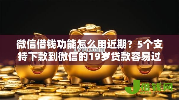 微信借钱功能怎么用近期？5个支持下款到微信的19岁贷款容易过审批的口子