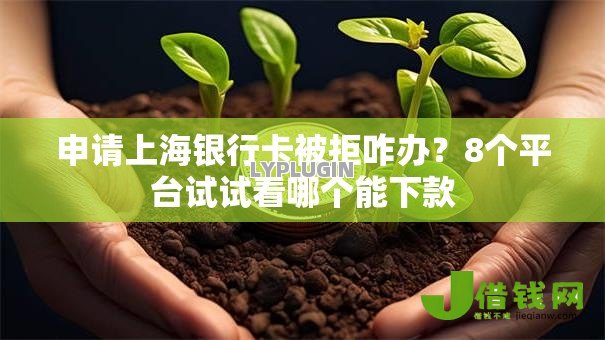 申请上海银行卡被拒咋办？8个平台试试看哪个能下款