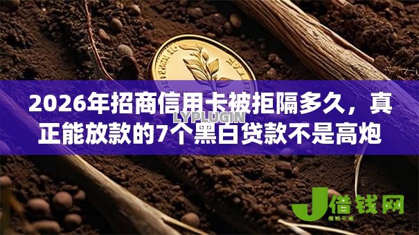 2026年招商信用卡被拒隔多久，真正能放款的7个黑白贷款不是高炮的app推荐