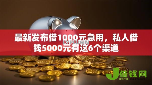 最新发布借1000元急用，私人借钱5000元有这6个渠道