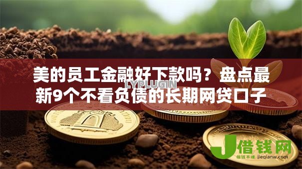 美的员工金融好下款吗？盘点最新9个不看负债的长期网贷口子
