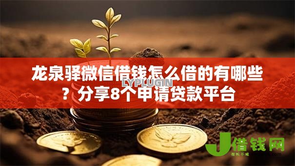 龙泉驿微信借钱怎么借的有哪些？分享8个申请贷款平台
