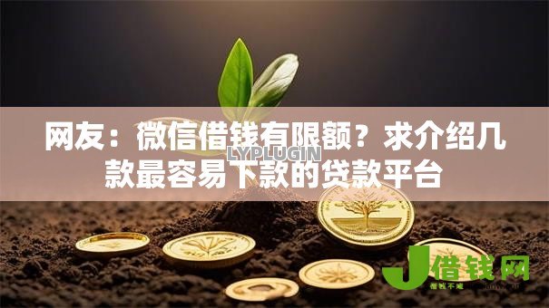 网友：微信借钱有限额？求介绍几款最容易下款的贷款平台