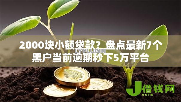 2000块小额贷款？盘点最新7个黑户当前逾期秒下5万平台