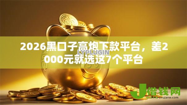 2026黑口子高炮下款平台,差2000元就选这7个平台 2026黑口子高炮下款平台,差2000元就选这7个平台