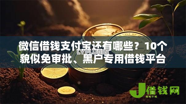 微信借钱支付宝还有哪些?10个貌似免审批、黑户专用借钱平台合集 微信借钱支付宝还有哪些?10个貌似免审批、黑户专用借钱平台合集