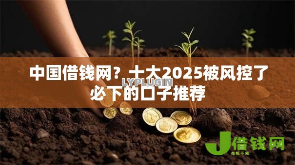 中国借钱网？十大2025被风控了必下的口子推荐