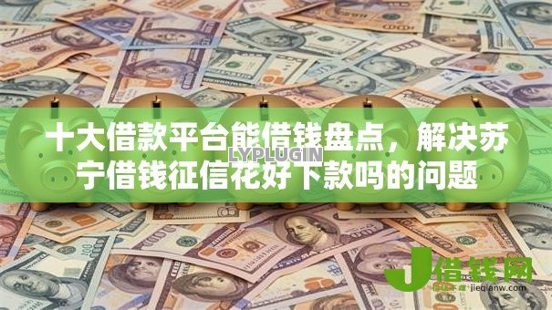 十大借款平台能借钱盘点,解决苏宁借钱征信花好下款吗的问题 十大借款平台能借钱盘点,解决苏宁借钱征信花好下款吗的问题