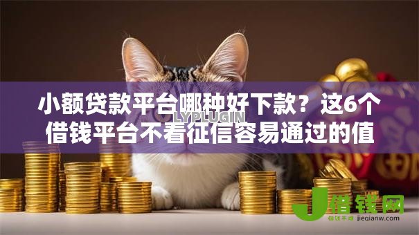 小额贷款平台哪种好下款？这6个借钱平台不看征信容易通过的值得一试