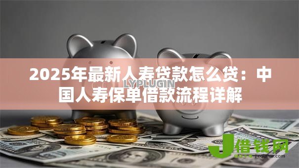 2025年最新人寿贷款怎么贷：中国人寿保单借款流程详解