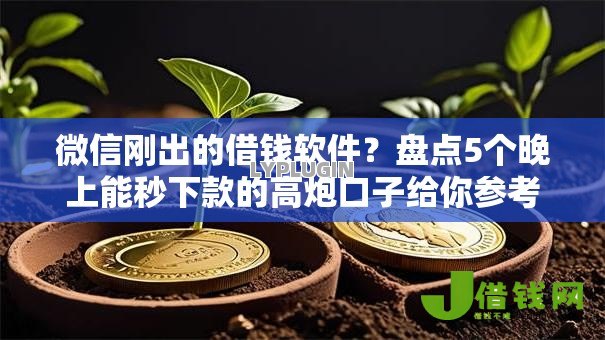 微信刚出的借钱软件？盘点5个晚上能秒下款的高炮口子给你参考