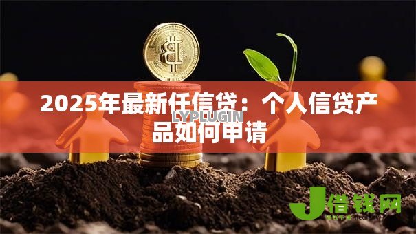 2025年最新任信贷：个人信贷产品如何申请
