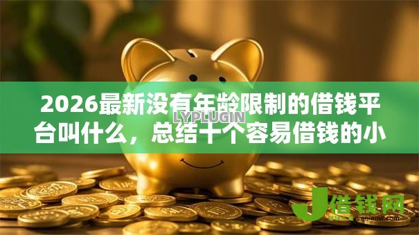 2026最新没有年龄限制的借钱平台叫什么，总结十个容易借钱的小额平台！