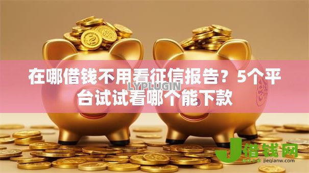 在哪借钱不用看征信报告？5个平台试试看哪个能下款