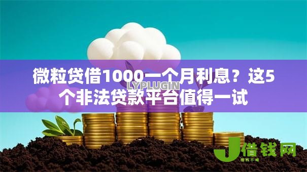 微粒贷借1000一个月利息？这5个非法贷款平台值得一试