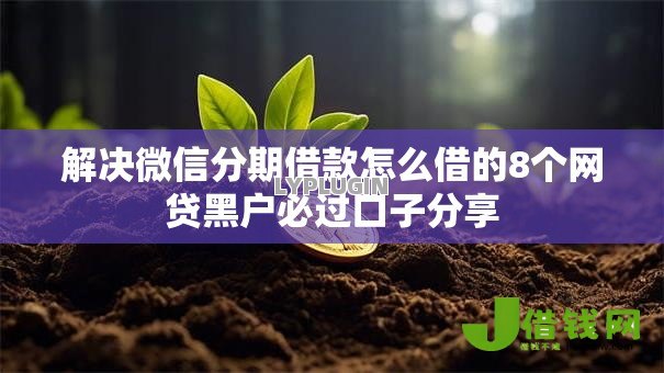解决微信分期借款怎么借的8个网贷黑户必过口子分享