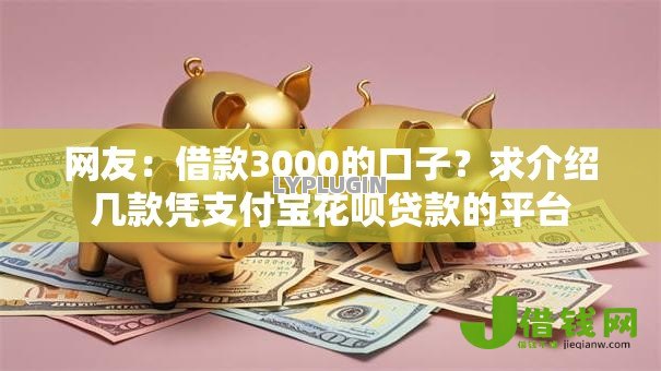 网友：借款3000的口子？求介绍几款凭支付宝花呗贷款的平台