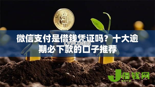微信支付是借钱凭证吗?十大逾期必下款的口子推荐 微信支付是借钱凭证吗?十大逾期必下款的口子推荐