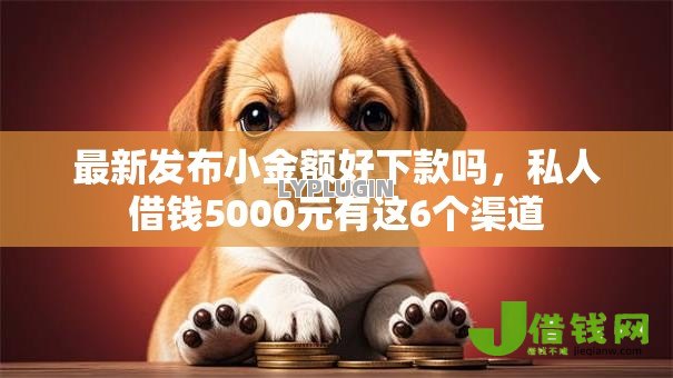 最新发布小金额好下款吗，私人借钱5000元有这6个渠道
