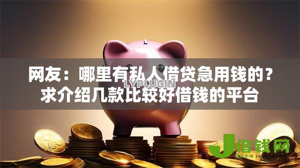 网友：哪里有私人借贷急用钱的？求介绍几款比较好借钱的平台