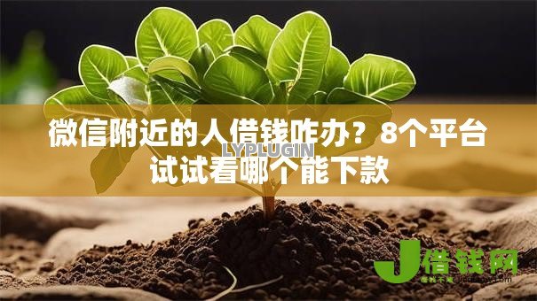 微信附近的人借钱咋办？8个平台试试看哪个能下款