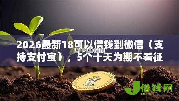2026最新18可以借钱到微信（支持支付宝），5个十天为期不看征信借钱平台无私分享