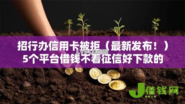 招行办信用卡被拒（最新发布！）5个平台借钱不看征信好下款的