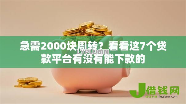 急需2000块周转？看看这7个贷款平台有没有能下款的