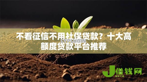 不看征信不用社保贷款？十大高额度贷款平台推荐
