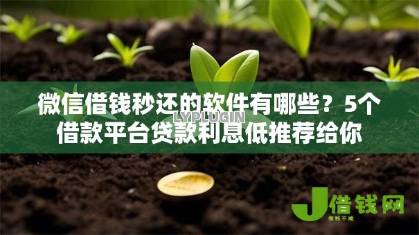 微信借钱秒还的软件有哪些？5个借款平台贷款利息低推荐给你